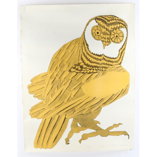 612 - Karen Usborne (born 1941), owl, embossed coloured etching, signed in pencil, 1971, no. 12/50, 77cm x... 