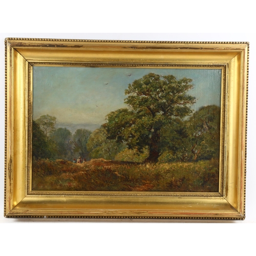 644 - G H Lascells?, Richmond Park Surrey, oil on board, original label verso, 30cm x 45cm, framed