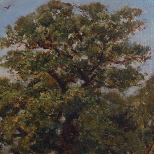 644 - G H Lascells?, Richmond Park Surrey, oil on board, original label verso, 30cm x 45cm, framed