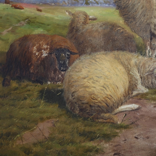 668 - 19th century English School, sheep in extensive landscape, oil on wood panel, indistinctly signed, 4... 