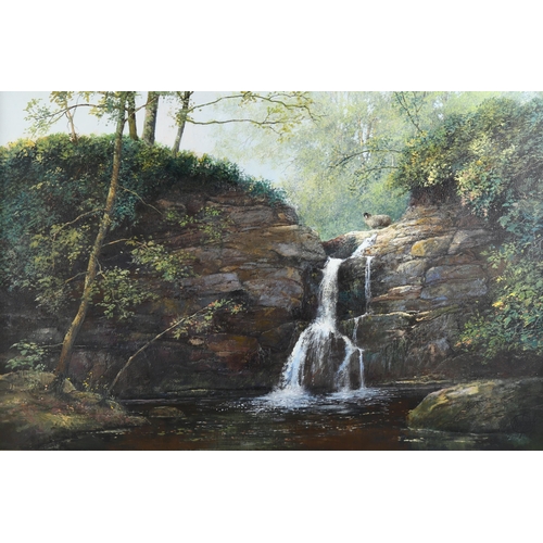 673 - Clive Madgwick, the waterfall, oil on canvas, signed with monogram, 50cm x 76cm, framed