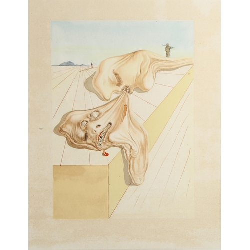 685 - Salvador Dali (1904 - 1989), Divine Comedy, lithograph, image 25cm x 17cm, framed