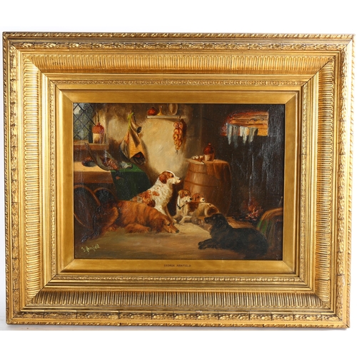 695 - Manner of George Armfield, dogs in an interior, oil on canvas, bears signature, 31cm x 41cm, framed