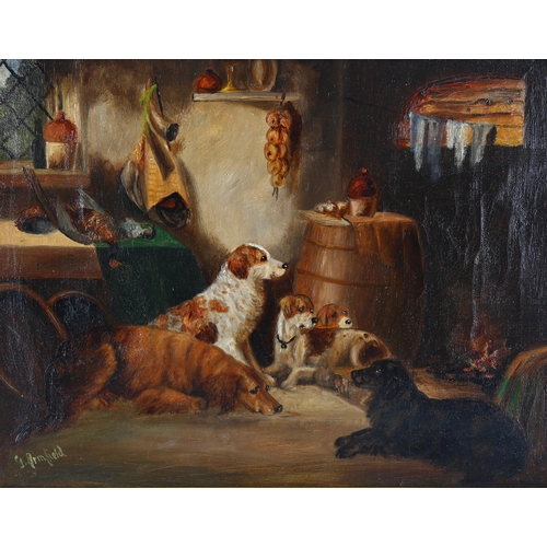 695 - Manner of George Armfield, dogs in an interior, oil on canvas, bears signature, 31cm x 41cm, framed