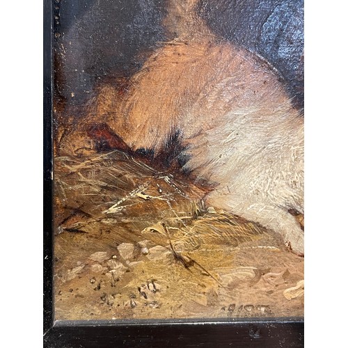 565 - George Armfield (1808 - 1893), Terriers ratting, oil on board, indistinctly signed, 13.5cm x 17cm, f... 