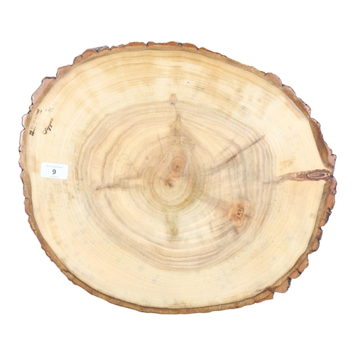 9 - AB SOWE-KONST, SOVESTAD SWEDEN -a Poppel wood bread board, diameter 47cm