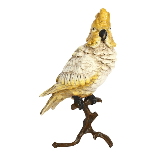 291 - A large Bergmann style cold painted bronze parrot on shaped branch, H30cm