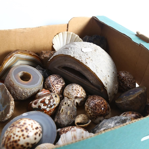 506 - A boxful of seashells, minerals including polished examples, etc