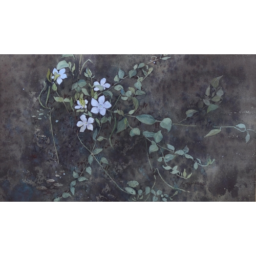 2954 - Ann Mumford, periwinkle, signed, 15cm x 27cm, framed