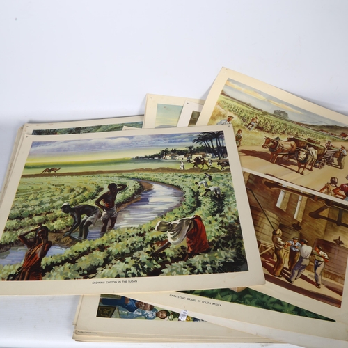 625 - A set of Vintage school posters depicting various trades and industries, H53cm (46)