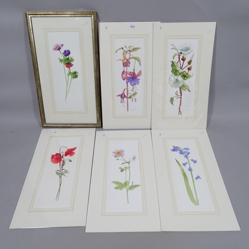 2900 - Jane Edmonds, a group of 6 watercolour botanical studies, 37cm x 14cm (5 mounted + 1 framed)