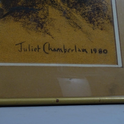 2950 - Juliet Chamberlain, wayward lilies, coloured pastels, signed and dated 1980, Exhibition label verso,... 