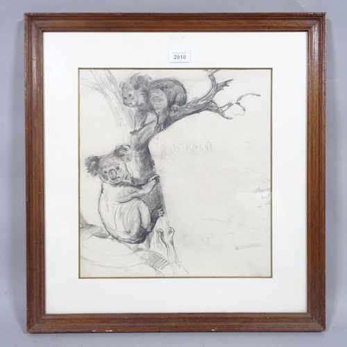 2910 - Spencer Roberts (1920 - 1997), Koala bears, pencil sketch, 37cm x 34cm, framed