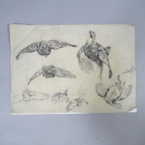 2867 - A sheet of 19th/20th century charcoal/pencil sketches of game birds, unsigned, 37cm x 52cm, unframed