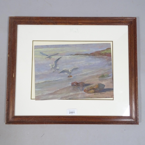 2891 - Spencer Roberts (1920 - 1997), gulls at the shore, oil on board, signed, 22cm x 30cm, framed