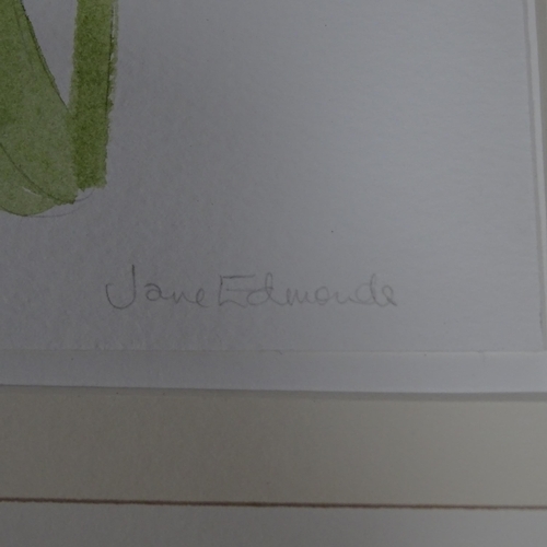 2900 - Jane Edmonds, a group of 6 watercolour botanical studies, 37cm x 14cm (5 mounted + 1 framed)