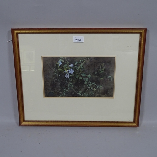 2954 - Ann Mumford, periwinkle, signed, 15cm x 27cm, framed