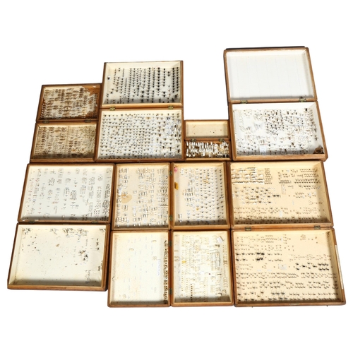281 - TAXIDERMY - An extensive entomology insect collection, XX boxes of specimens originally collected by... 