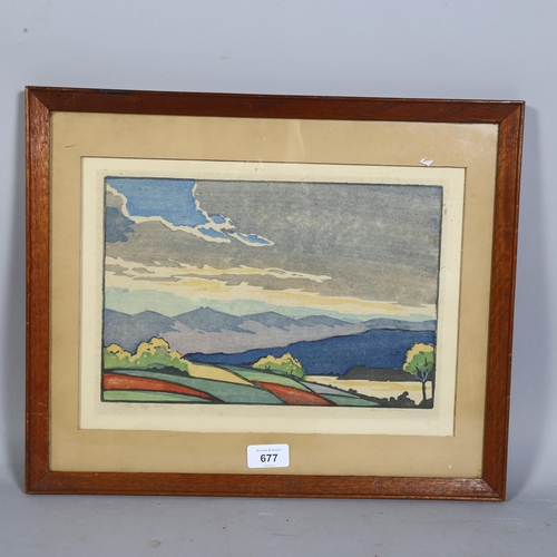 677 - Mabel Robinson, The Teign Valley, 20th century woodcut print, signed, 31 x 22cm, framed