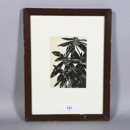 721 - John N Nash, wood engraving 