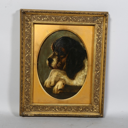 741 - 19th century portrait of dog, oil on canvas, 25cm x 20cm, in over mount, unsigned, framed