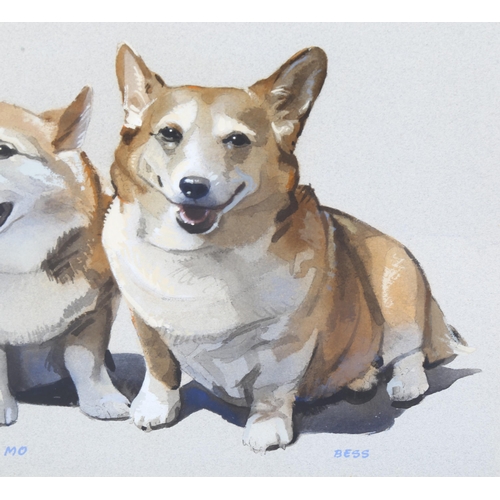 752 - Derek Williams, watercolour, pair of Corgi dogs, signed, 44cm x 30cm, framed