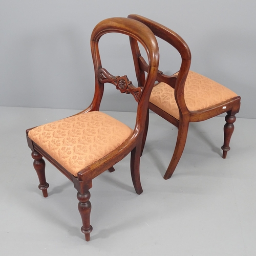 2056 - A set of four 19th century mahogany balloon back dining chairs with drop-in seats.