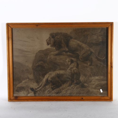 2830 - A pair of prints, lion and tiger studies, 1 with monogram HD, 54cm x 78cm