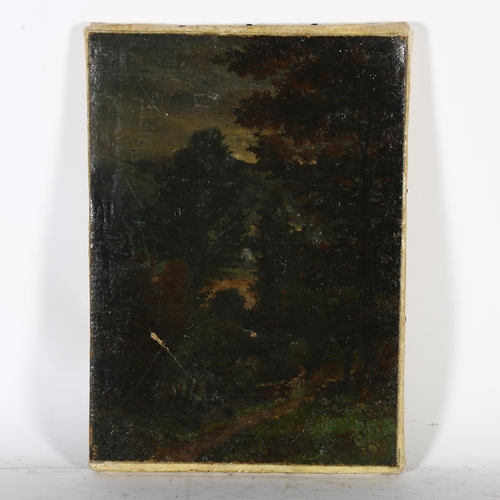 2833 - A 19th century oil on canvas, woodland view, indistinctly signed bottom right-hand corner, 36cm x 26... 