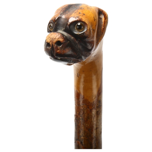 6 - A carved wood Bulldog's head handled walking stick with glass eyes, early 20th century, length 83cm