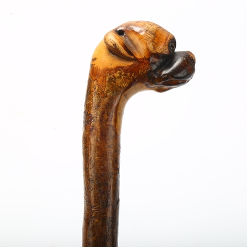 6 - A carved wood Bulldog's head handled walking stick with glass eyes, early 20th century, length 83cm