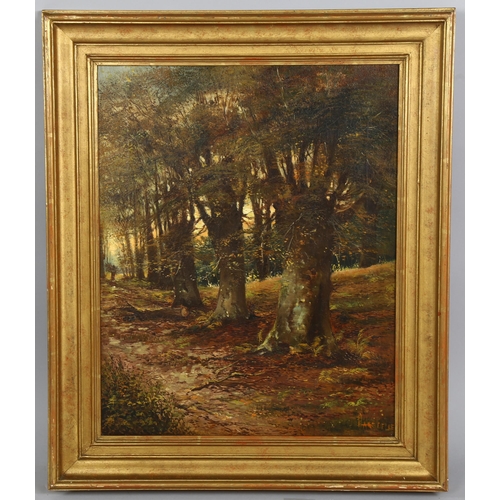 544 - Thomas Lascelles, Victoria Beeches Epping Forest, signed and inscribed verso, 52cm x 42cm, framed