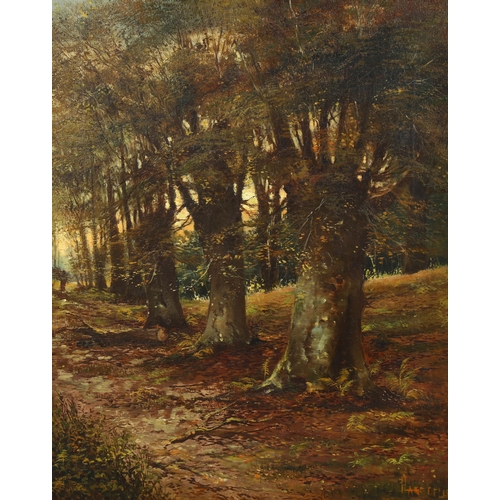 544 - Thomas Lascelles, Victoria Beeches Epping Forest, signed and inscribed verso, 52cm x 42cm, framed