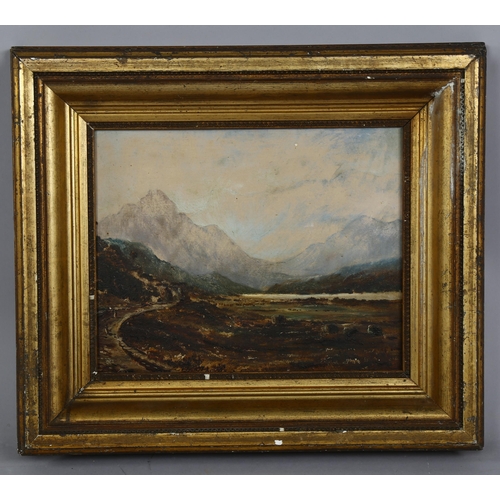 559 - William Lawrence Hall (1830 - 1907), Scottish landscape, oil on board, 23cm x 29cm, framed