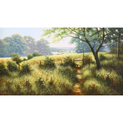 595 - Terence Grundy (born 1956), the stile, oil on canvas, signed, 35cm x 60cm, framed