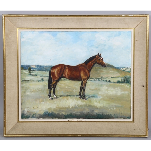 635 - V Daventry, oil on canvas, horse portrait, signed, 16