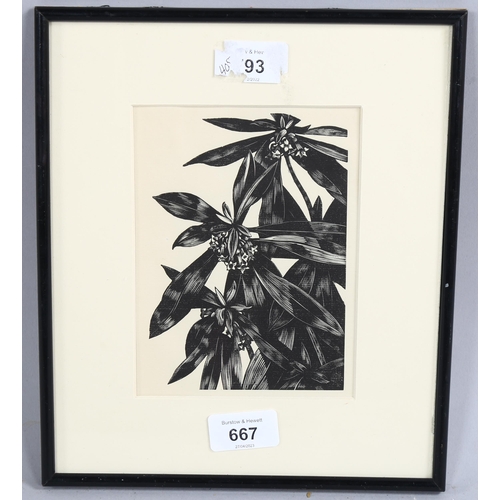 667 - John Nash (1893-1977) wood engraving on paper, The Spurge Laurel, 15.5vm x 11cm, for Poisonous Plant... 