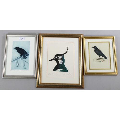 670 - 3 ornithological prints, framed (3)