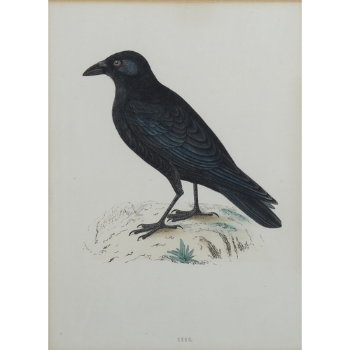 670 - 3 ornithological prints, framed (3)