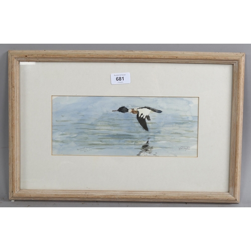 681 - Karl Taylor, red breasted Merganser 1992, watercolour, signed, 12cm x 29cm, framed