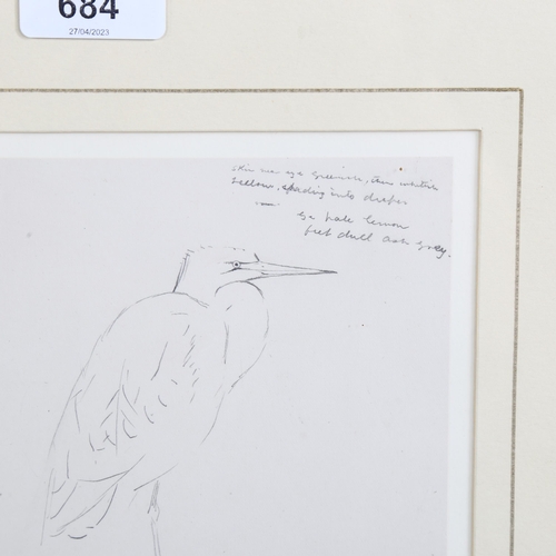 684 - Archibald Thorburn (1860 - 1935), studies of Great White Egret, pencil with annotations, sheet 32cm ... 