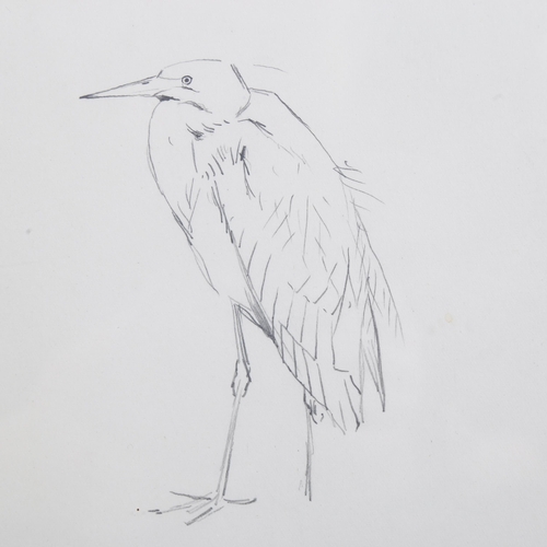 684 - Archibald Thorburn (1860 - 1935), studies of Great White Egret, pencil with annotations, sheet 32cm ... 