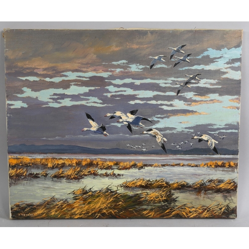 685 - Hugh Monahan (1914 - 1970), Snow Geese in flight, oil on canvas, signed, 45cm x 56cm, unframed