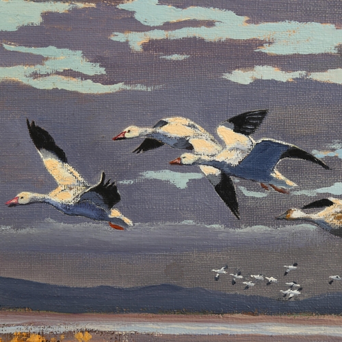 685 - Hugh Monahan (1914 - 1970), Snow Geese in flight, oil on canvas, signed, 45cm x 56cm, unframed