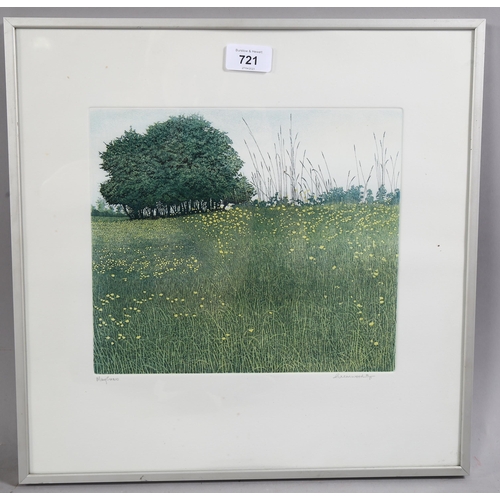 721 - Phil Greenwood (b. 1943), etching and aquatint on paper, May Grass, signed and titled in pencil, 23c... 