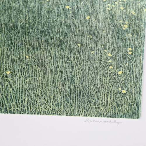 721 - Phil Greenwood (b. 1943), etching and aquatint on paper, May Grass, signed and titled in pencil, 23c... 