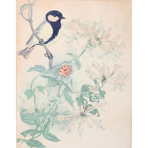 726 - David Koster (1926-2014), limited edition engraving on paper, Great Tit and Honeysuckle, signed, tit... 