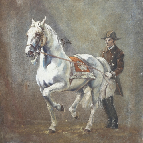 743 - Le Foche, Lipizzaner stallion, oil on canvas, signed, 45cm x 35cm, unframed