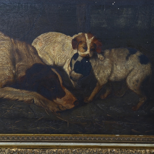 745 - 19th century oil on wood panel, hound and puppies, signed with monogram AW, 24cm x 40cm, framed