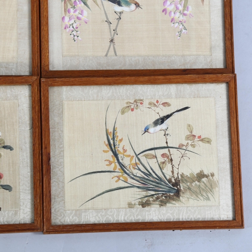 792 - 4 various Chinese watercolours on silk, birds and blossom, overall frame dimensions 18cm x 23cm